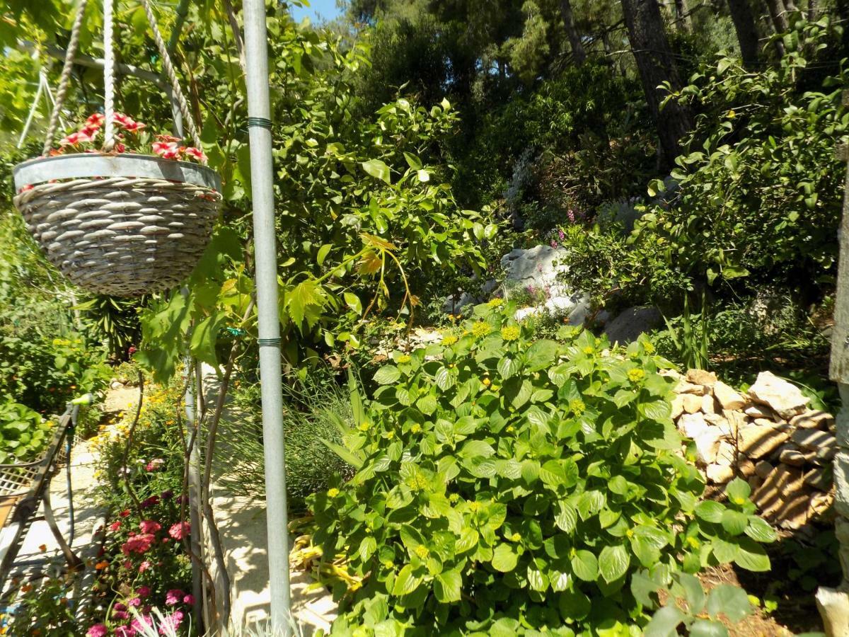 Apartments Zerjav Mali Lošinj Eksteriør bilde